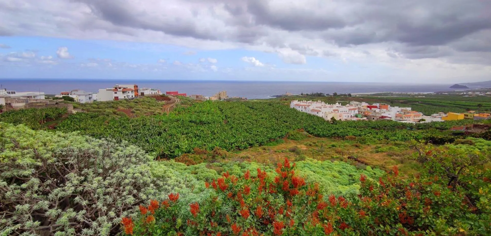 Casa Emilia Villa Los Silos Tatil Evi